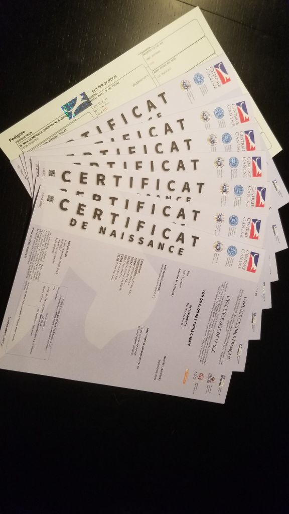 les certificats de naissance officiels sont arrivés 